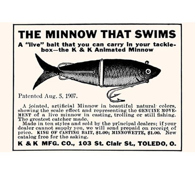 " The Minnow That Swims "