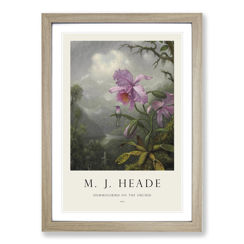 Hummingbird on the Orchid Plant by Martin Johnson Heade - Picture Frame Painting, 65cm H x 48cm W x 2cm D, Oak Framed