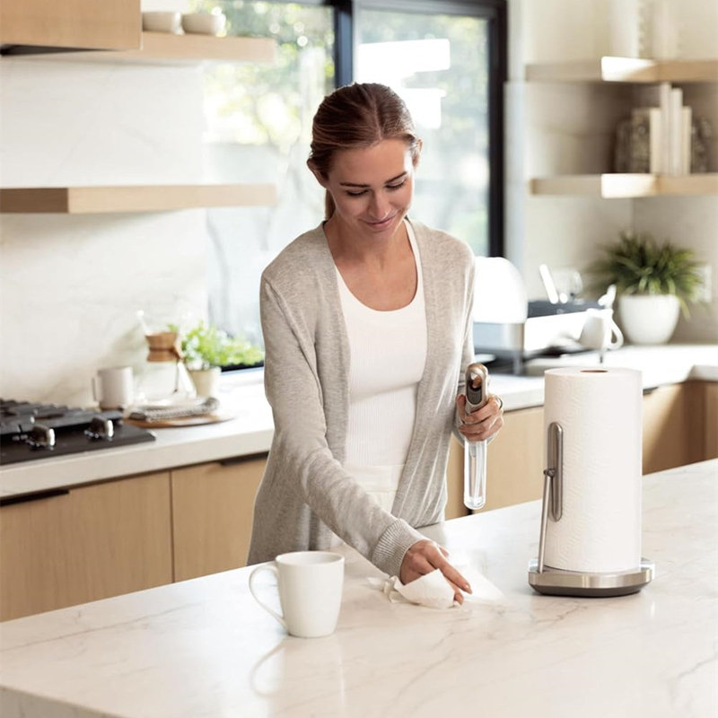 Stainless Steel Paper Towel Holder