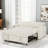 Isel 57'' Sofa Bed Sleeper Loveseat with USB Port and Two Pillows-1944927199