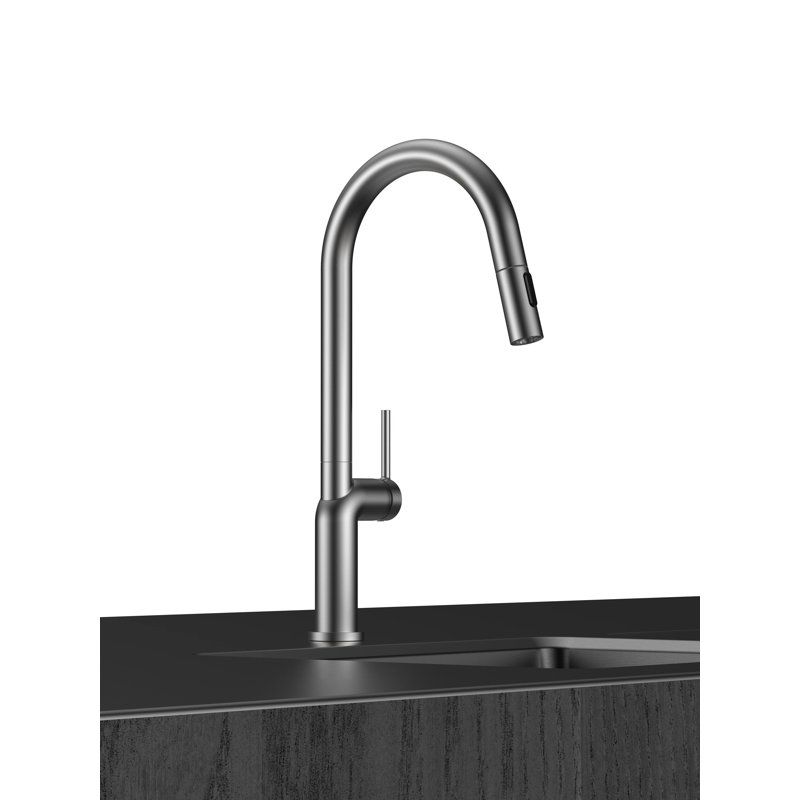 AvaMalis Pull Out Kitchen Faucet, Brushed Chrome