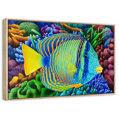 Sailfin Tang