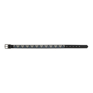 Portable Ultrasonic Electric Fence Collar