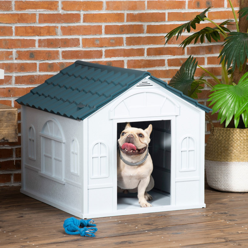 Blue Puppy Shelter - Ventilé, pour chiens de taille moyenne et petite, chien d'eau en plastique bleu chalet, races, marque