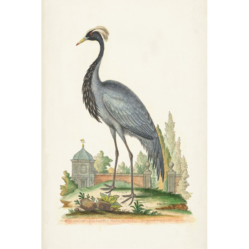 Antique Heron & Cranes II - Wrapped Canvas Painting, 122 cm H x 81 cm W, Black Floater Frame
