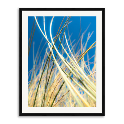Dune Grasses Print by Petra Trimmel