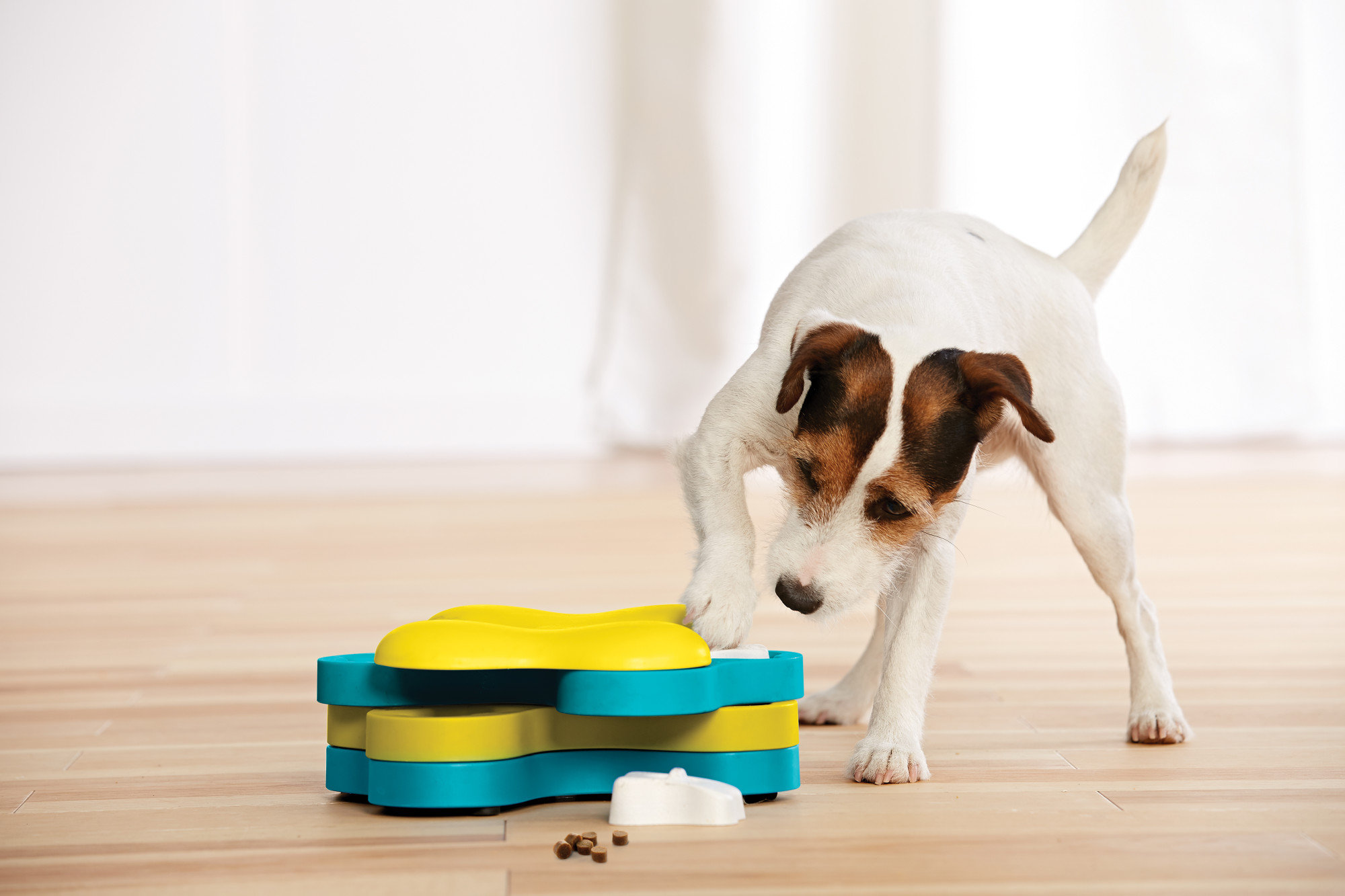 Interactive Dog Puzzle Toys Level 2, Dog Slow Feeder, Puzzle Slower Feeders  for Dogs Mental Stimulation, Dog Treat Puzzle, Treat Dispensing Dog Toys