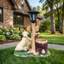 Statue de jardin Labrador