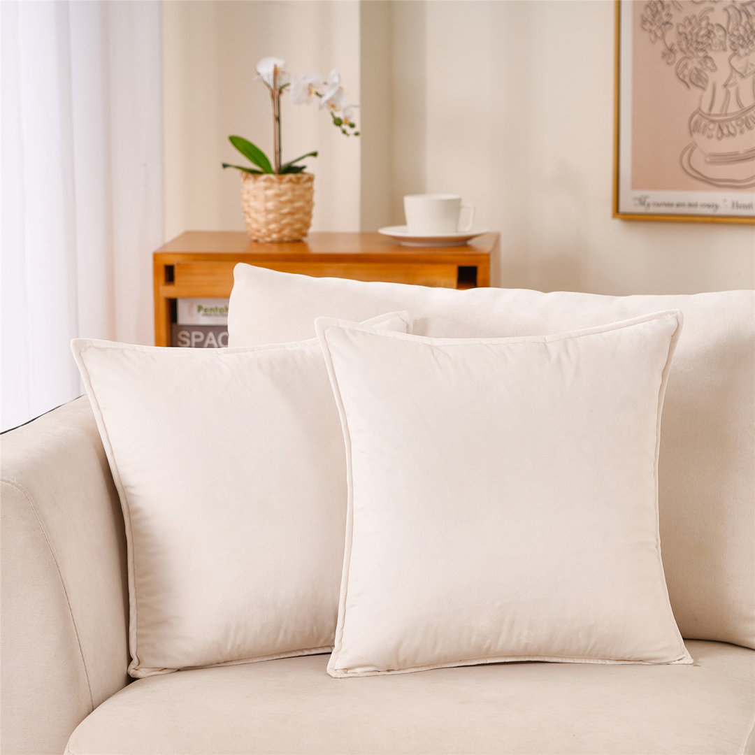 Flanged Velvet Velvet Throw Pillow (Set of 2) WARISI 