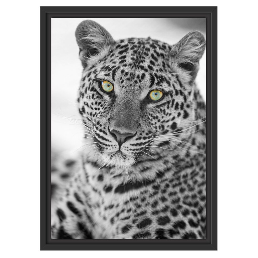 Gerahmter Fotodruck Beautiful Leopard