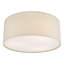 Derbyshire Plastic Flush Mount-1439351808