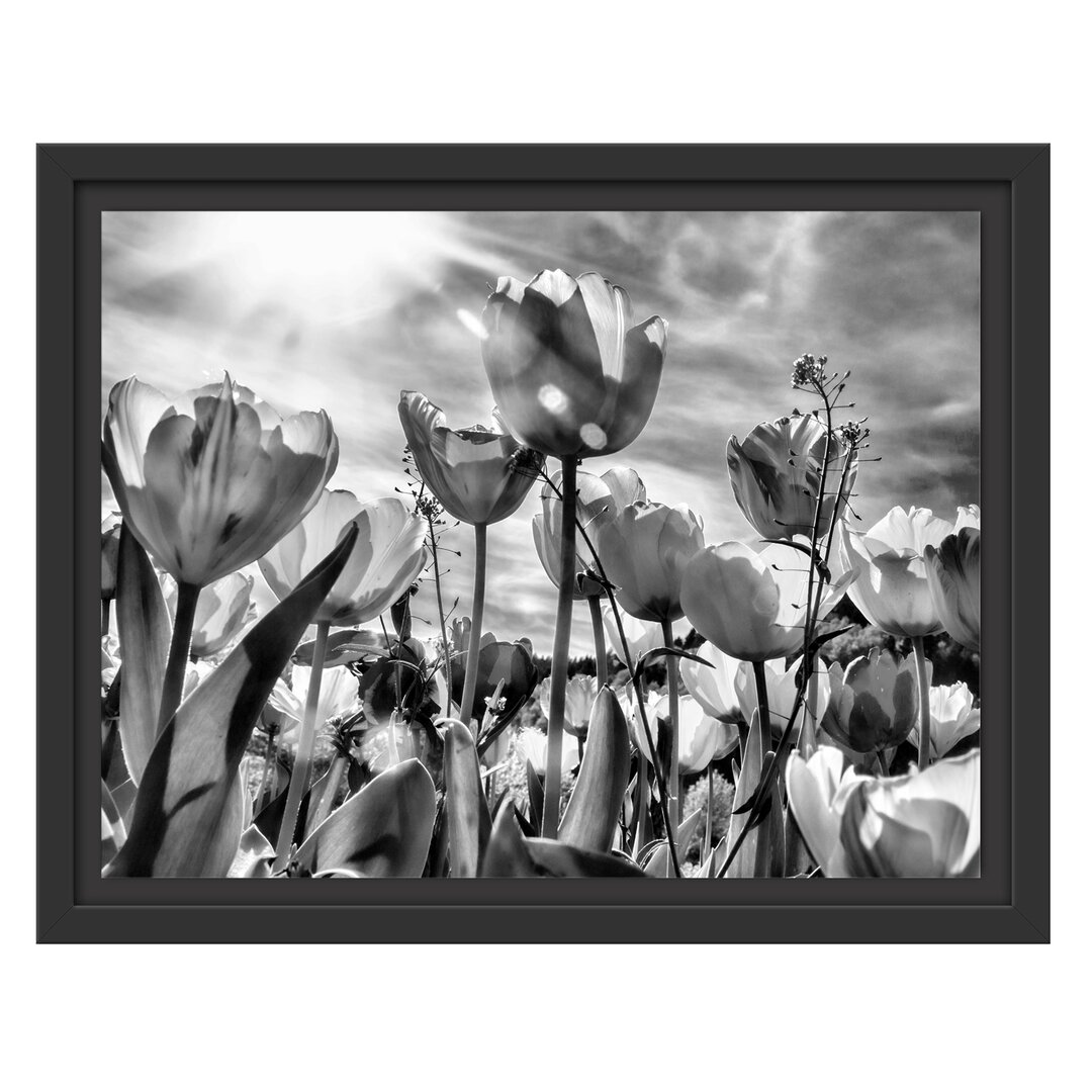 Gerahmtes Wandbild Blumenwiese