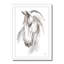 Equine Study II by Ethan Harper - Print-1984176528-1984176542