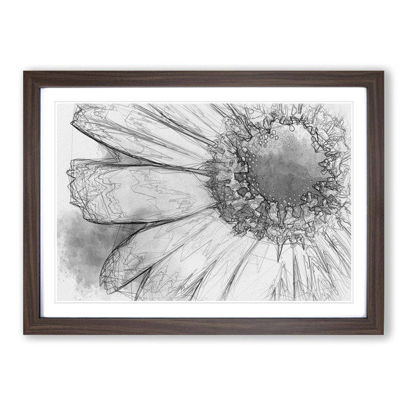 Pretty Flower in Abstract - Picture Frame Graphic Art Print, 35cm H x 50cm W x 2cm D, Walnut