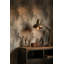 Concrete Texture Wallpaper Cracks Industrial Wall Mural