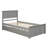 Platform Bed With  Trundle-1954638704