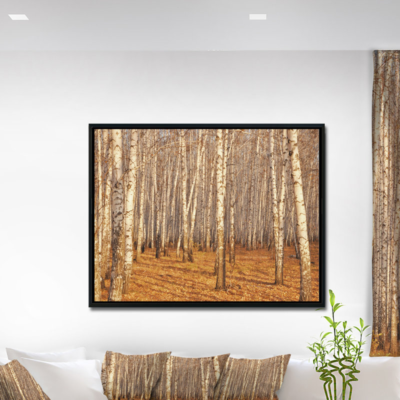 «Dense Birch Forest in the Fall», photographie, H 28 po x l 60 po x P 1,5 po, Toile avec cadre flottant