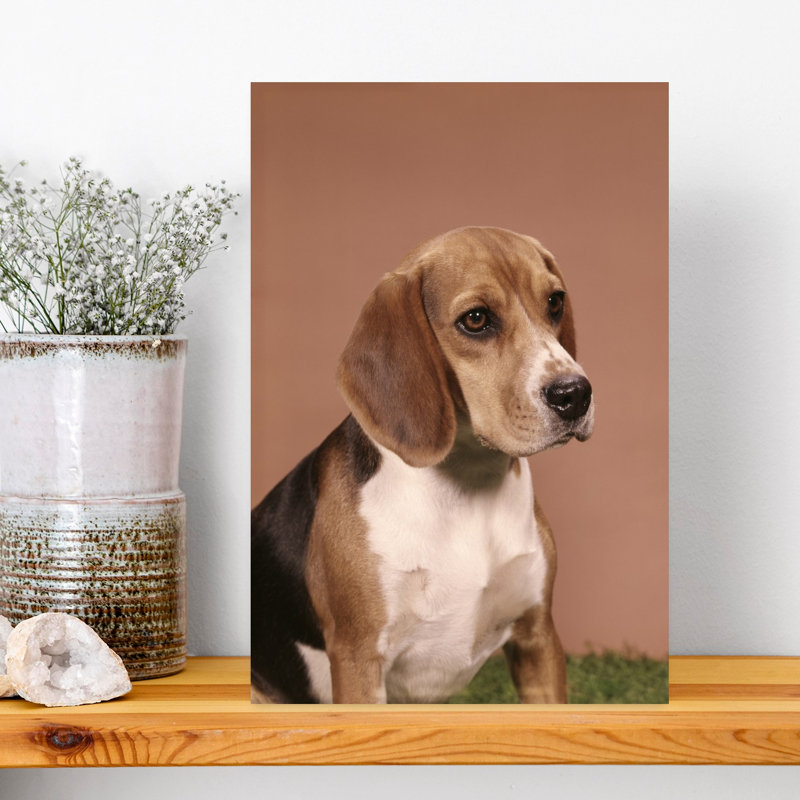 1960S Portrait Of Beagle Dog Classic Retro Vintage Dog Wall Art, H 18 po x l 12 po