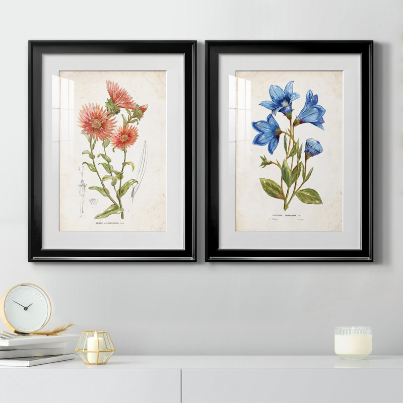 «Botanical I», ensemble de 2 reproductions d'art, Blanc, H 31,5 po x l 47 po x P 1,5 po, H 18,5 po x l 49 po x P 1,5 po
