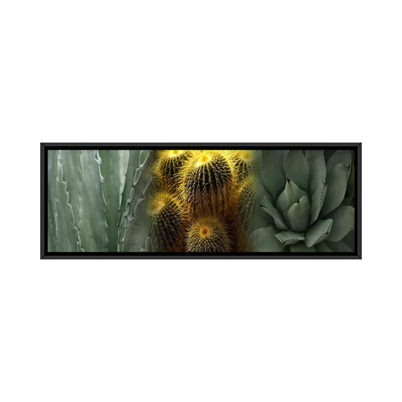 Cactus - reproduction de photo sur toile tendue, H 16 po x l 48 po x 1,5 po, Toile avec cadre noir