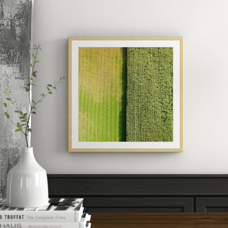 Single Picture Frame Print, 41 cm H x 41 cm W x 3.81 cm D