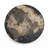 Fossilised Petrified Wood Accent Table