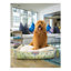 Tapis pour lit de qualité supérieure Rugs.com-100613957-110734654