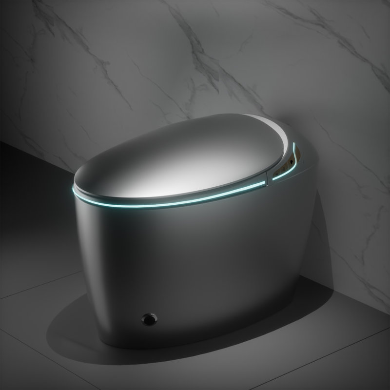 Smart Toilet With Bidet Built In, Silver