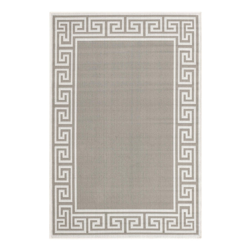 Aminia Indoor / Outdoor Rug, Rectangle 4' x 6'