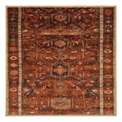 Machine Washable Turkish Brown Area Rug