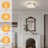Rasheeka Flush Mount LED Ceiling Light Kitchen Lights Ceiling