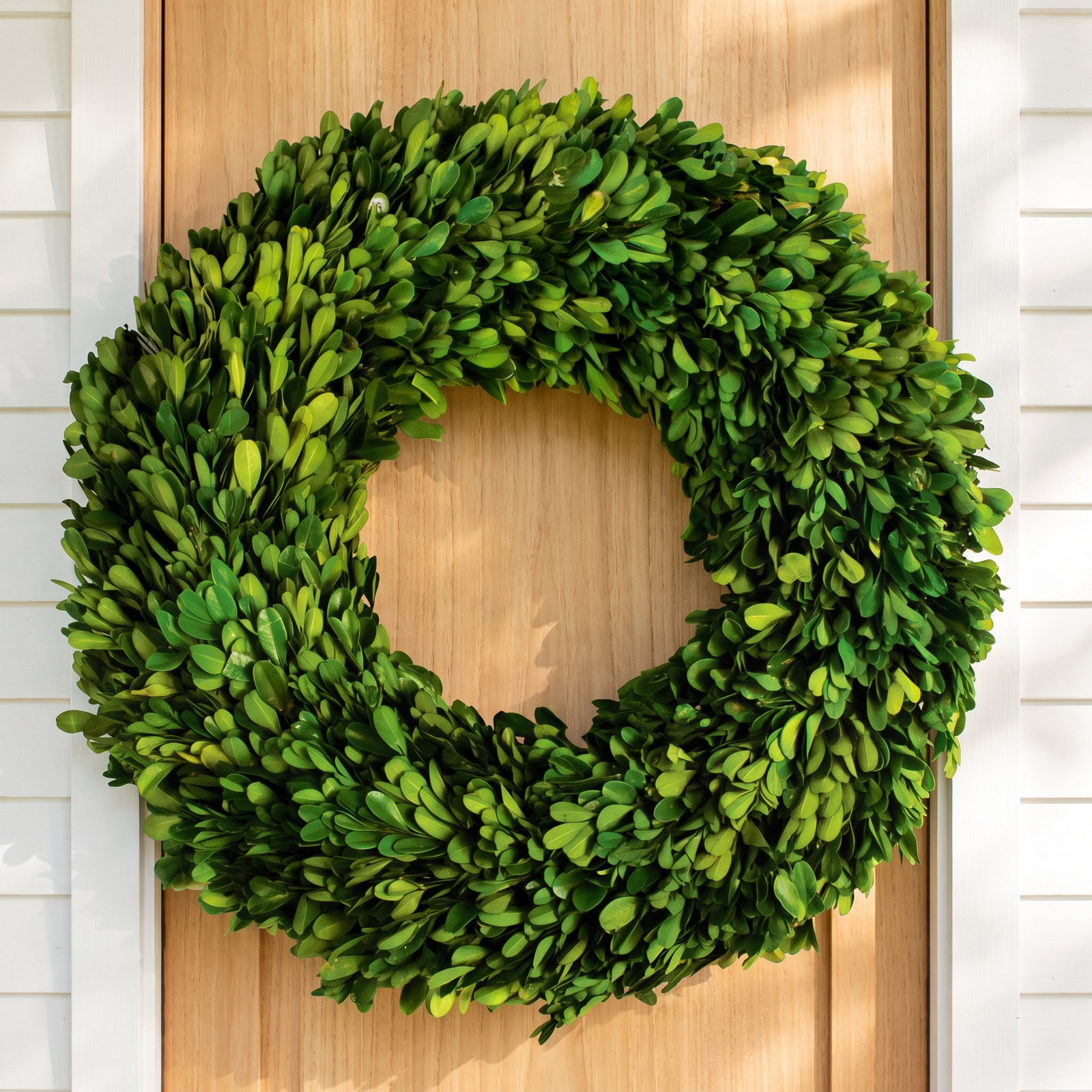 Birch Lane™ Alby 31" Boxwood Wreath, 16" H x 16" W x 2.75" D