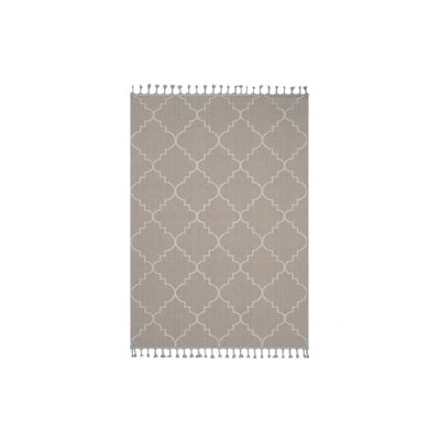 Collection 6X9 Trellis Indoor/Outdoor Area Rug