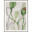 Into Blossom 3 Print by Art House Studios-201331217