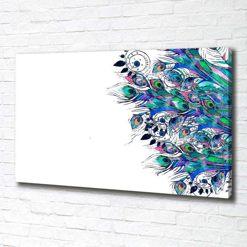 Peacock Feathers - Wrapped Canvas Print