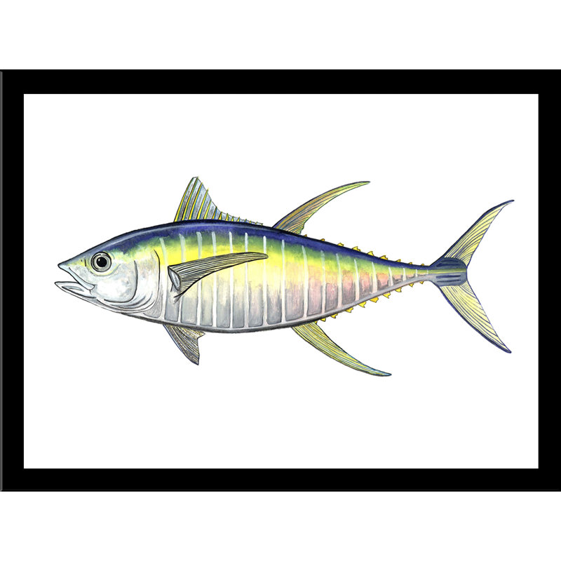 Fin Tuna par Damon Crook - reproduction de cadre photo, H 8 po x l 10 po