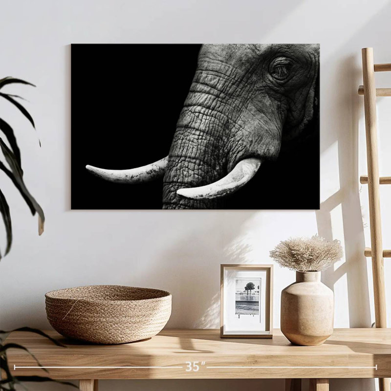 Brampt Elephant Close Up, 8" H x 12" W