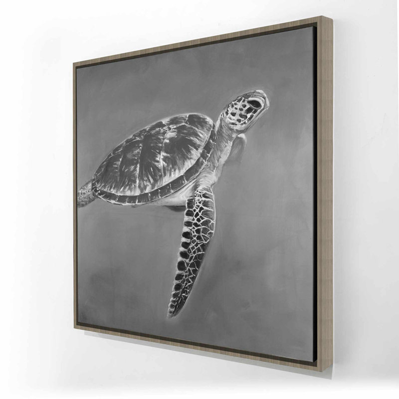 Grayscale Aquatic Turtle - Gray Coastal Framed Canvas Art