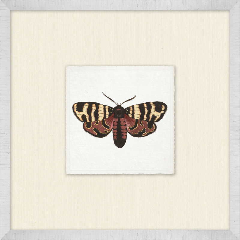 Miniature Butterfly Collection 1 Print