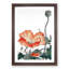 Poppy Flower by Ohara Koson - Picture Frame Painting Print-55602283-55602284