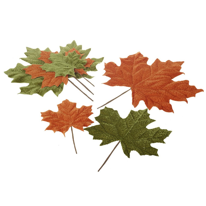 Decorative Autumn Leaf Set