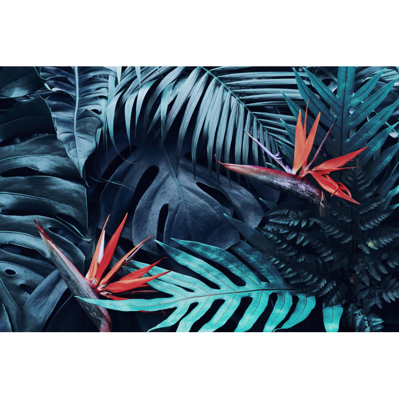 Tropical Flowers by Pernsanitfoto - Wrapped Canvas Print, 20cm H x 30cm W