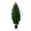 Faux Cypress Plant-742417864