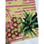  Fiesta ananas