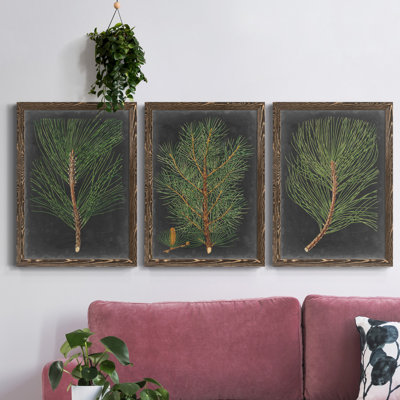 «Dramatic Pine I», ensemble de 3 peintures sur toile encadrées
