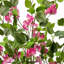 Faux Plant-1468371329