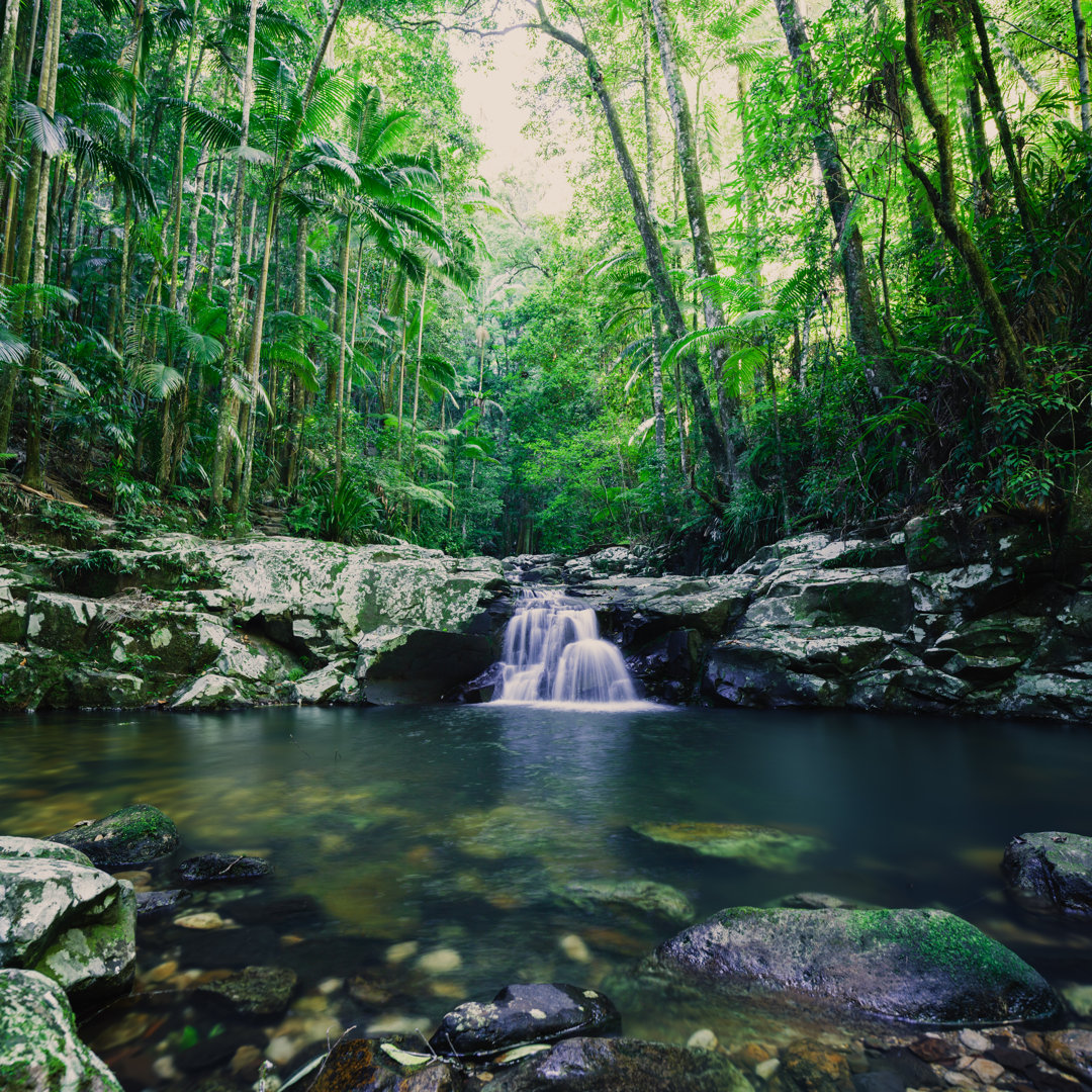 Nightcap National Park - Wasserfall von Turnervisual - Drucken