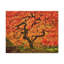 No Frame Print on Canvas-540234186