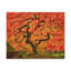 Wall Art on Canvas-540234184
