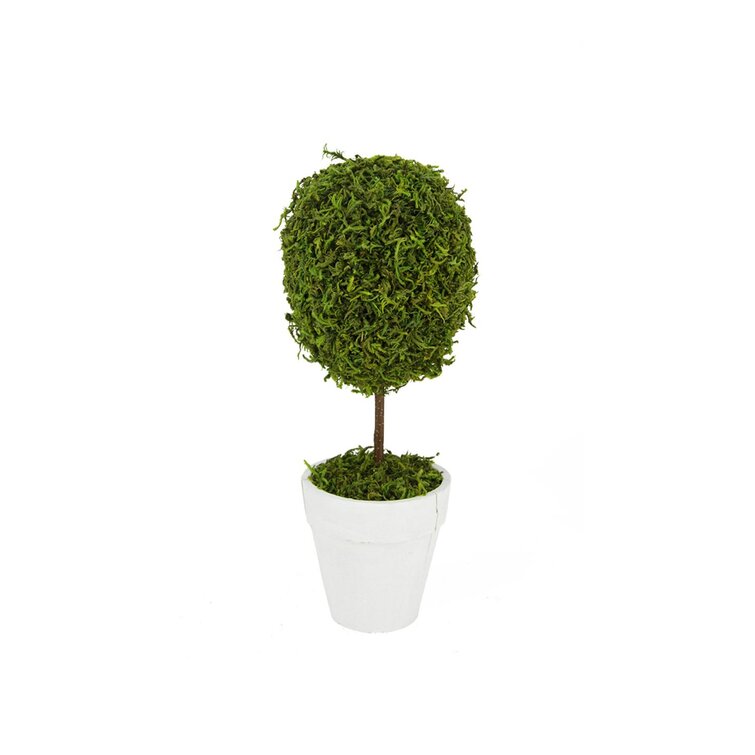 Northlight 14 Green Reindeer Moss Ball Potted Artificial Spring Topiary Tree
